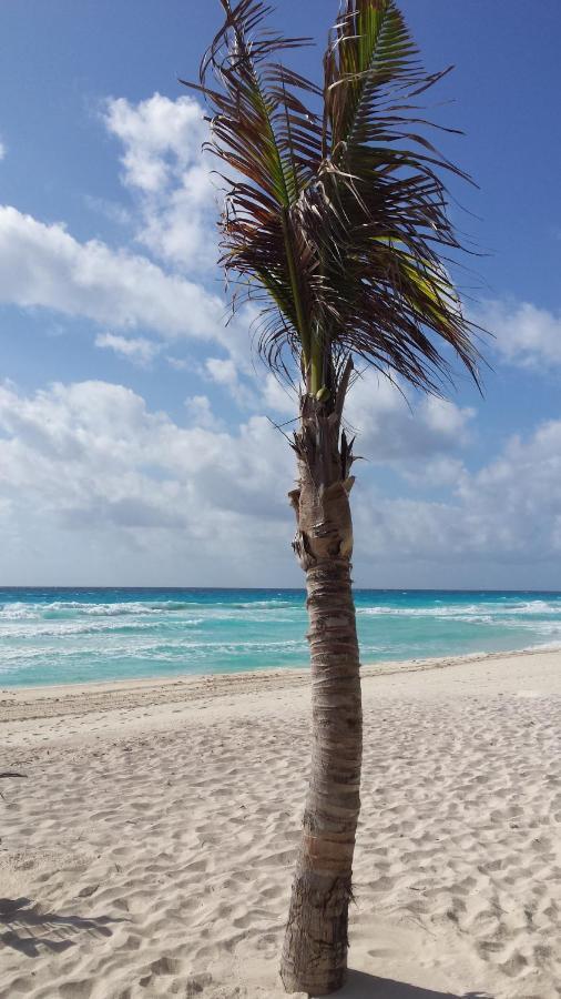 1 Bedroom Seaview Condo In Ocean Dream Resort Cancún Esterno foto